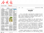 扈氏悦读:扈鹏宗亲系列散文“旧院童趣”之四街头纳凉